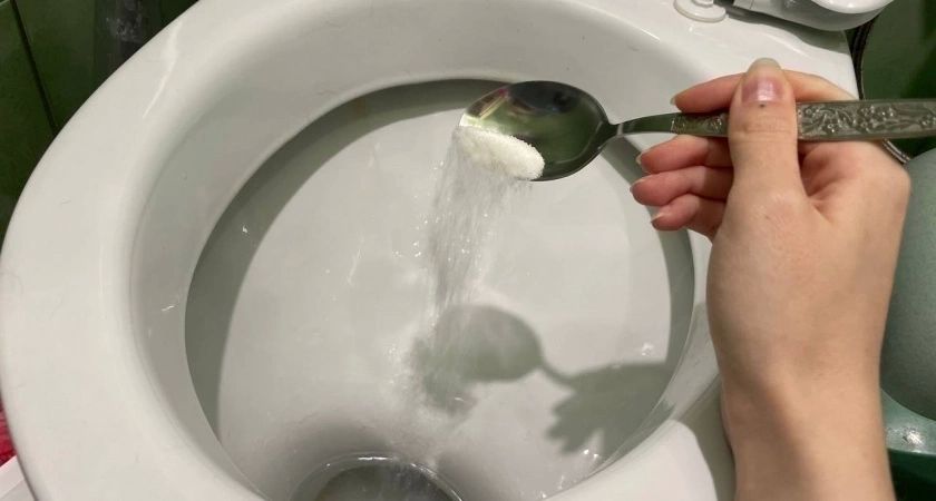 5  :   ,       ,      