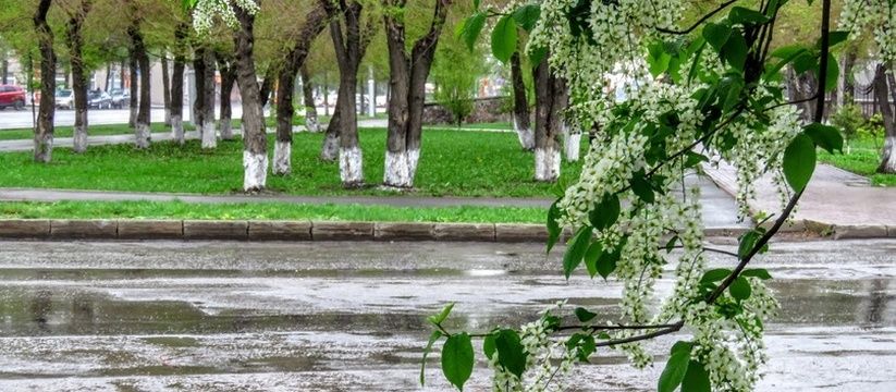 «Майские праздники 2025 года будут самыми страшными в XXI веке». Синоптики разочаровали граждан