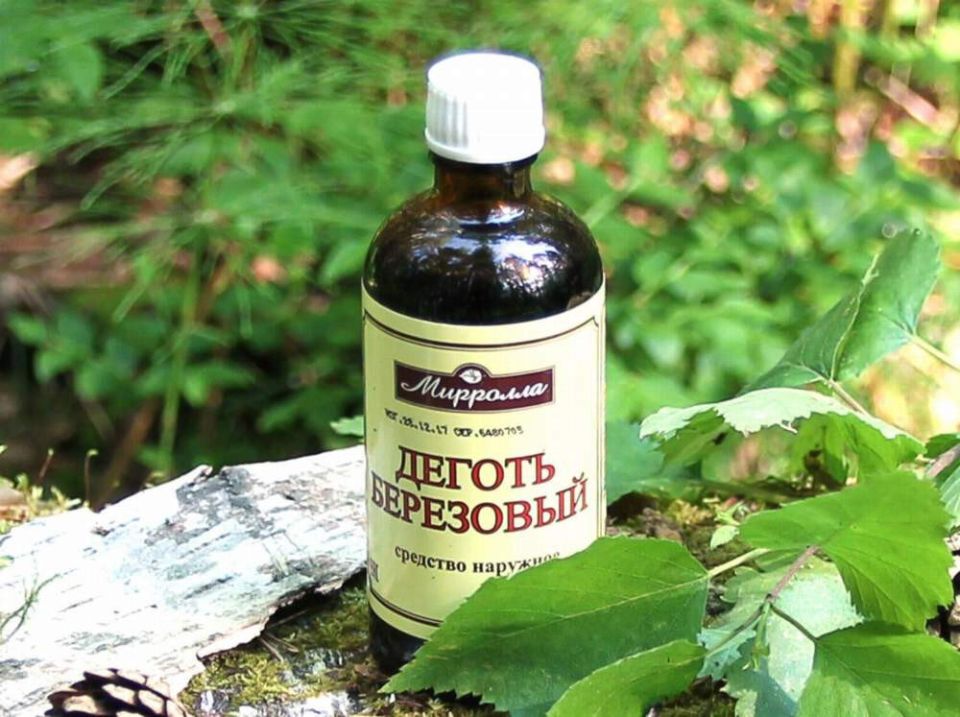 Березовый деготь против мышей: естественные методы защиты вашего дома