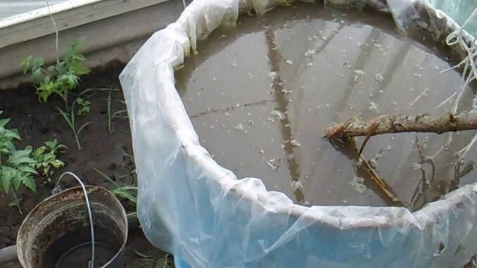 Как домашние ЭМ-препараты могут преобразить ваш сад