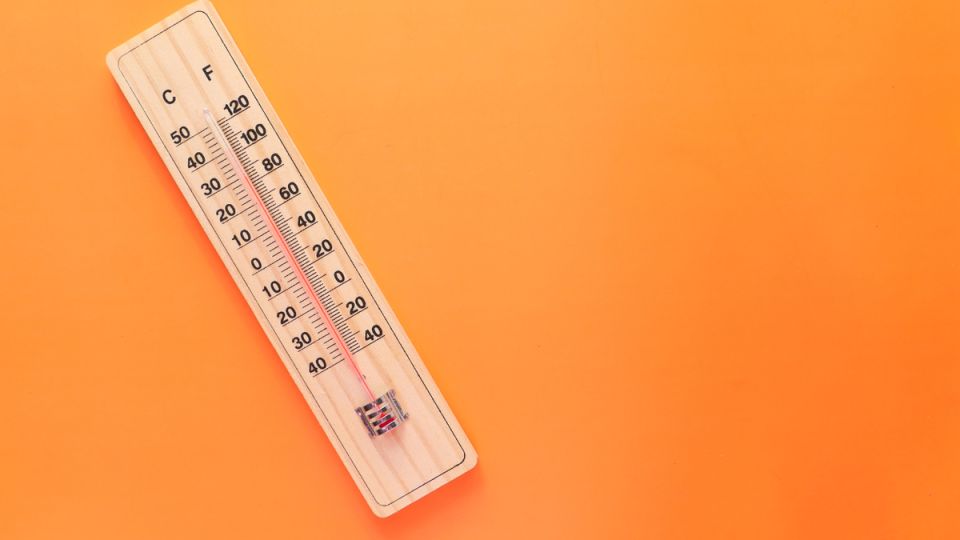 Рабочий покинул завод из-за экстремальной жары: суд стал на его сторону