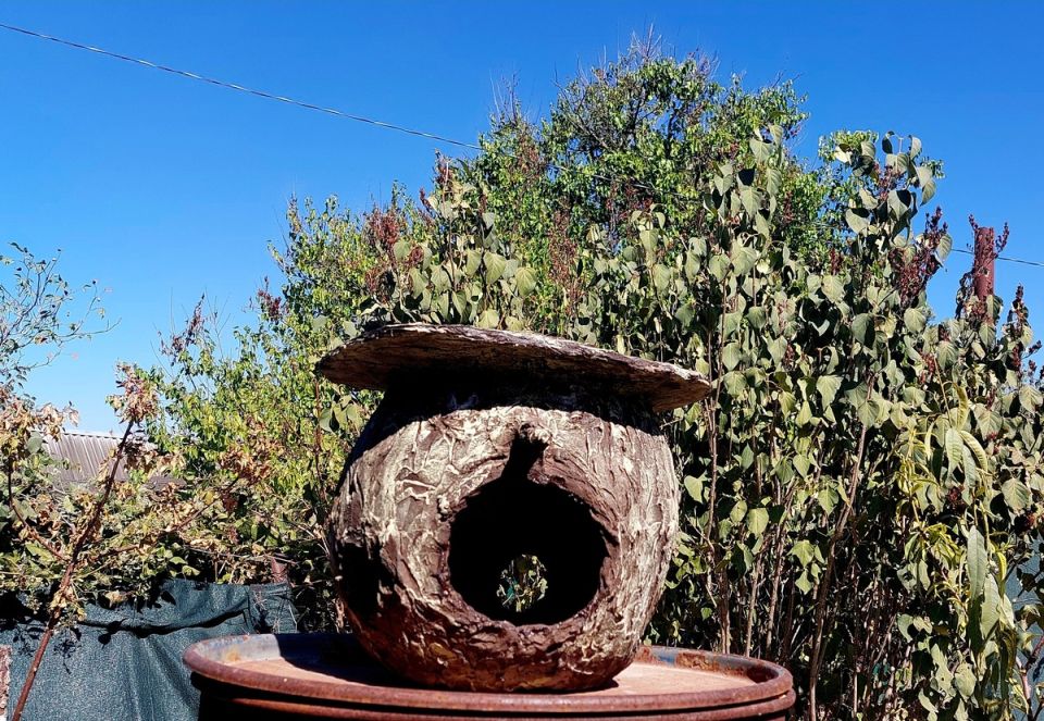 Необычная кормушка для птиц: креативный подход и практические советы