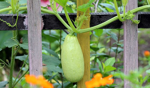 �������: 35 ������ ��� ������ �������