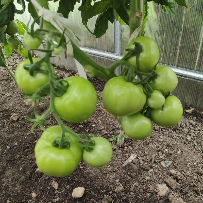 ������ ����������� ������ 2026 ����: �����, ������� ��������� ������ �����������