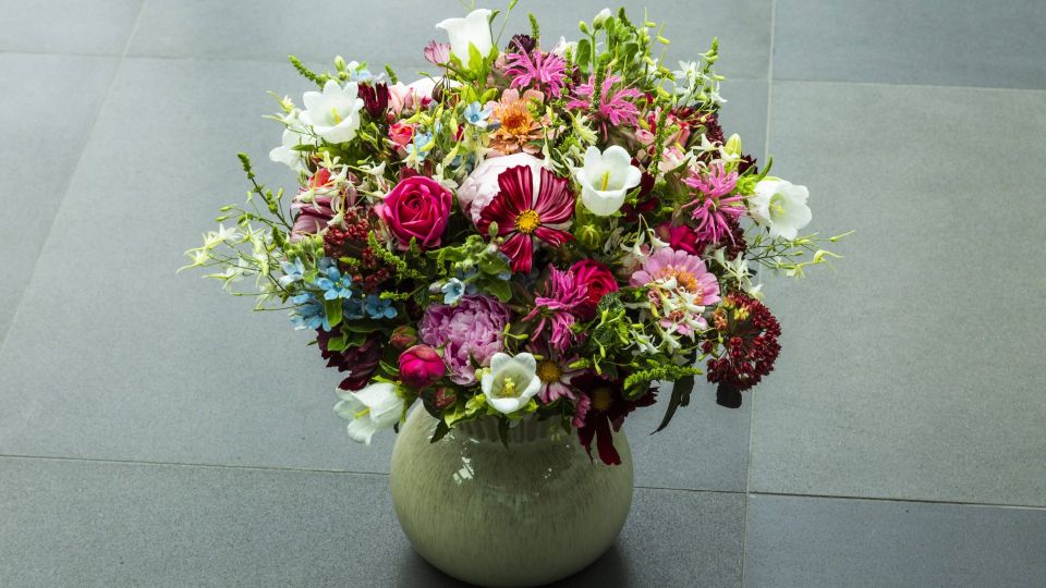 ��������� ������� �� ����������: ���� ������ ���� ������ ������� ������ �����