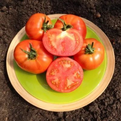 ����� ��������� ��������: ������� ��������� �����������