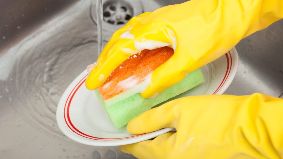 ��������� ����� �� ����� �� ����������: �������� �� � ���� ��������� ��������