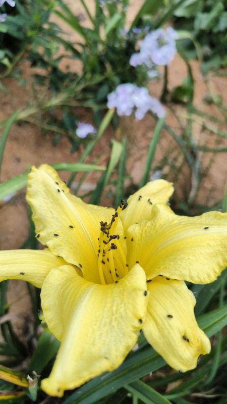 ��������� ����� ��� ������ ������: ��� ������� ���������� � �����