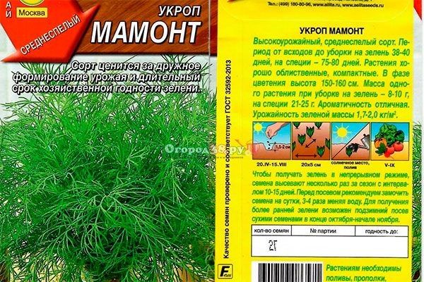 ����� ������: ��������� ������� ��� ����� ��������