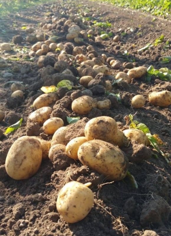 �������� �� ����� ����: ��� ������������ �����, ������� �� 40 ����