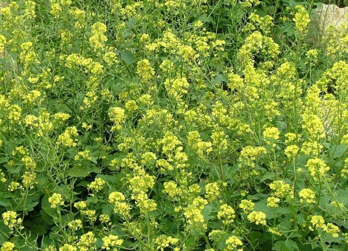 �������: �������� ������� ��� �������� �����