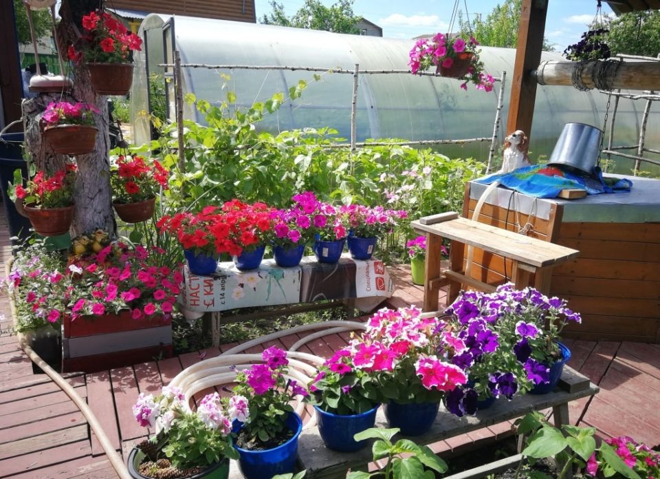 Тенденции садоводства 2026: как создать идеальное пространство для отдыха