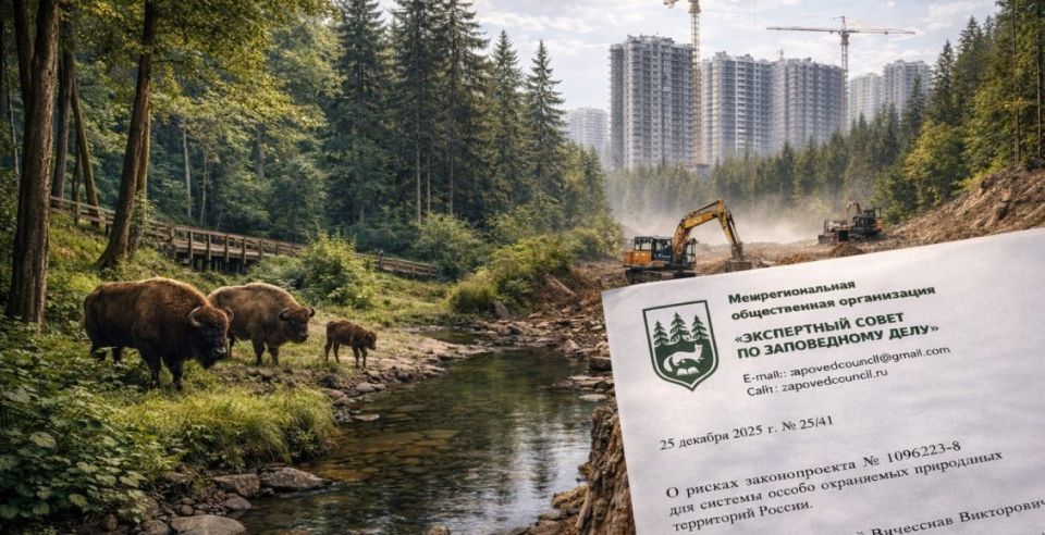 Специалисты бьют тревогу: новый закон может угрожать заповедникам России