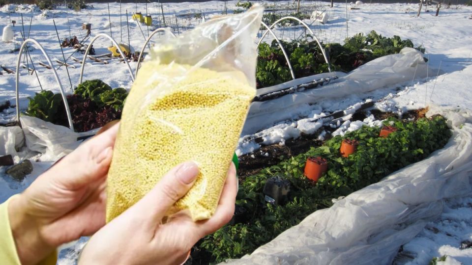 ��� ����� ����� �� 73 ����� ���������� ������ � ���������� ���