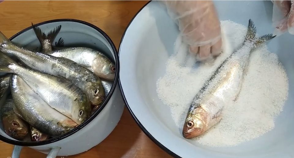 Донская селёдка: весенний деликатес