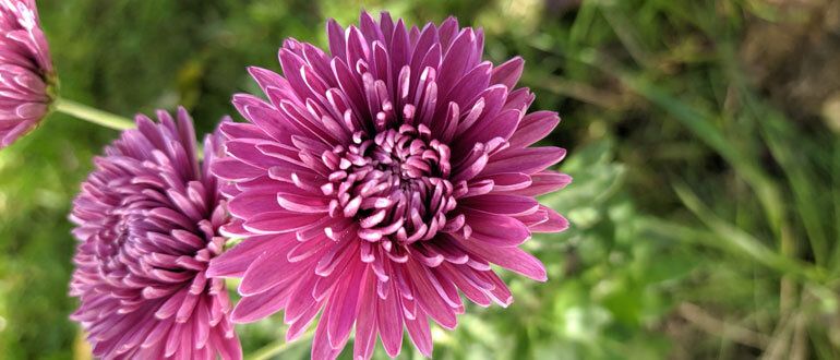 ������ �� ������ ����������, � ��� � ���� ������