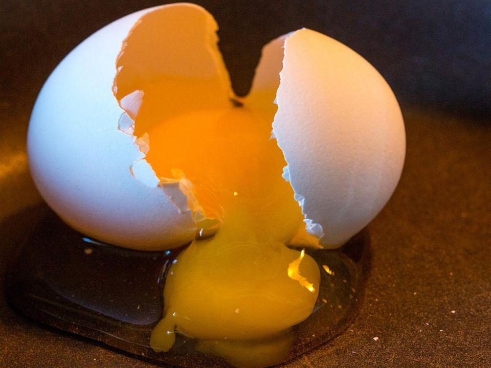 ��������, ������� �������� ������ ��������: � ��� ��������?