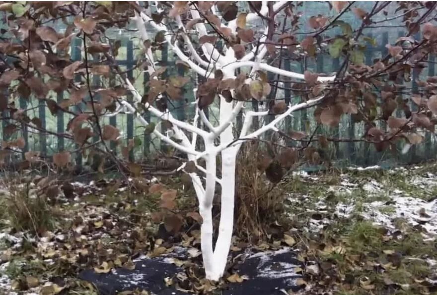 ������� ������� ��������: ��� ������� ������ � ����� ��� �����