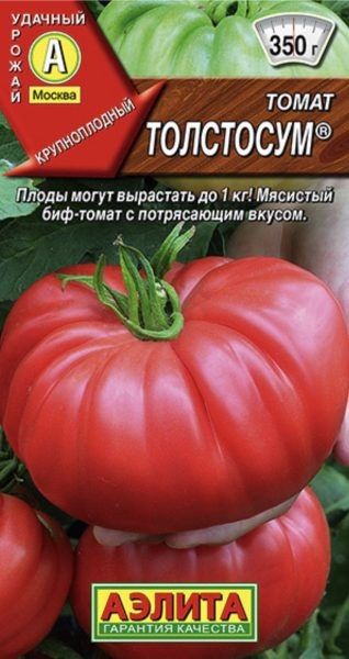 Томат Толстосум — крупноплодный сорт с мясистой мякотью и насыщенным вкусом