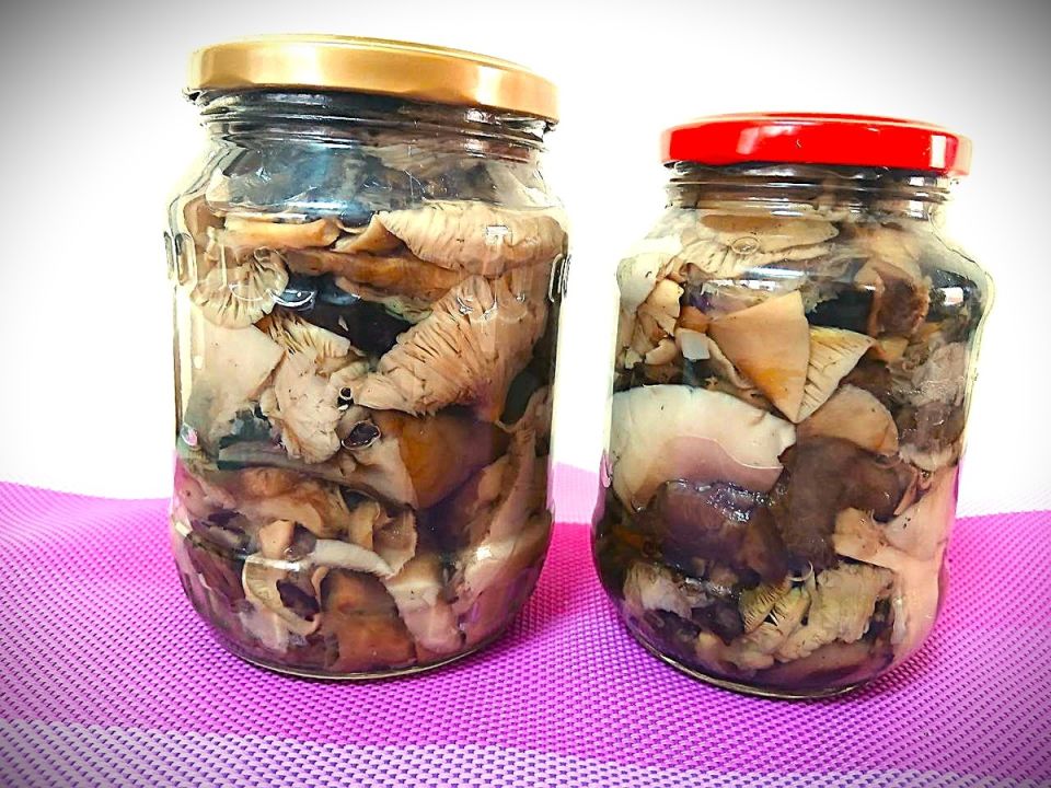 ��������� ������ �������: ������� ��������� � ������ ���������