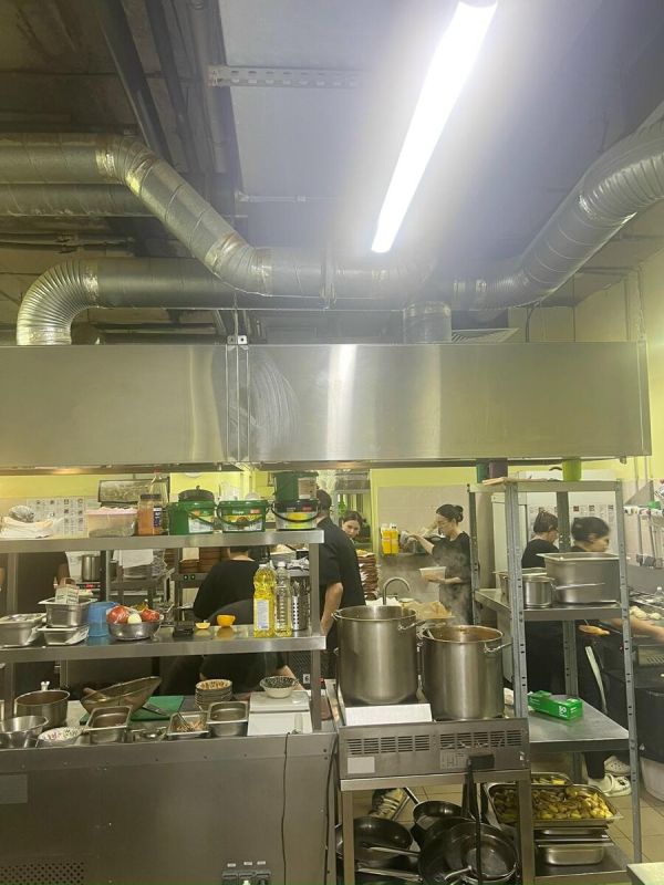 Трудовые будни поваров: спокойный взгляд на ежедневную работу