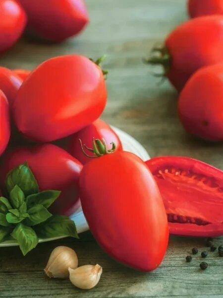 Томат Клавдия: надёжный сорт с дружным урожаем и вкусом