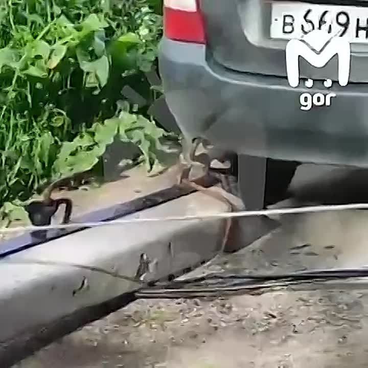    :        ,  ,     
