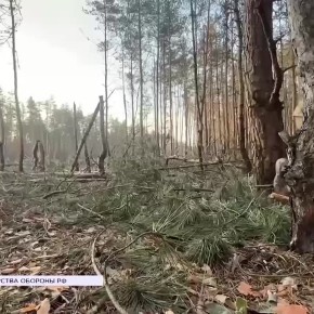     ,   - ,   
