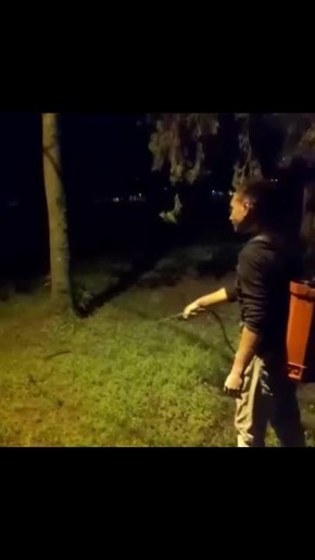  :         