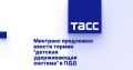 Минтранс предложил ввести термин детская удерживающая система в ПДД