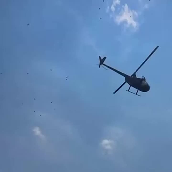     :        