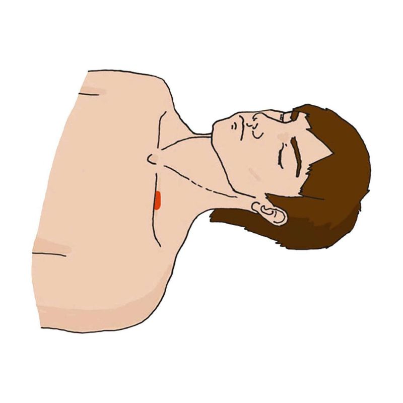   ;