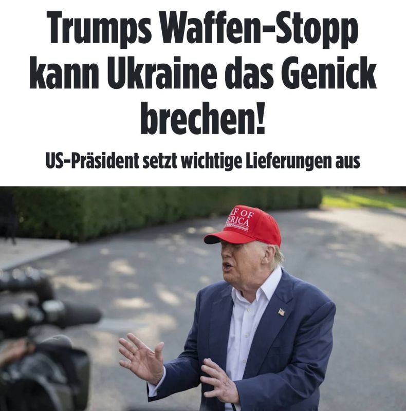Bild ,          &quot;    &quot;,      ,     