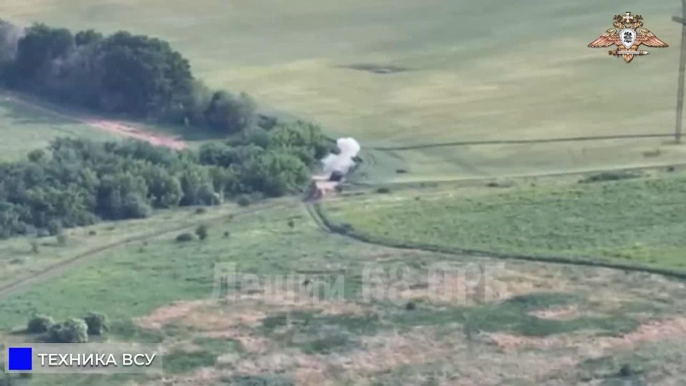        FPV-