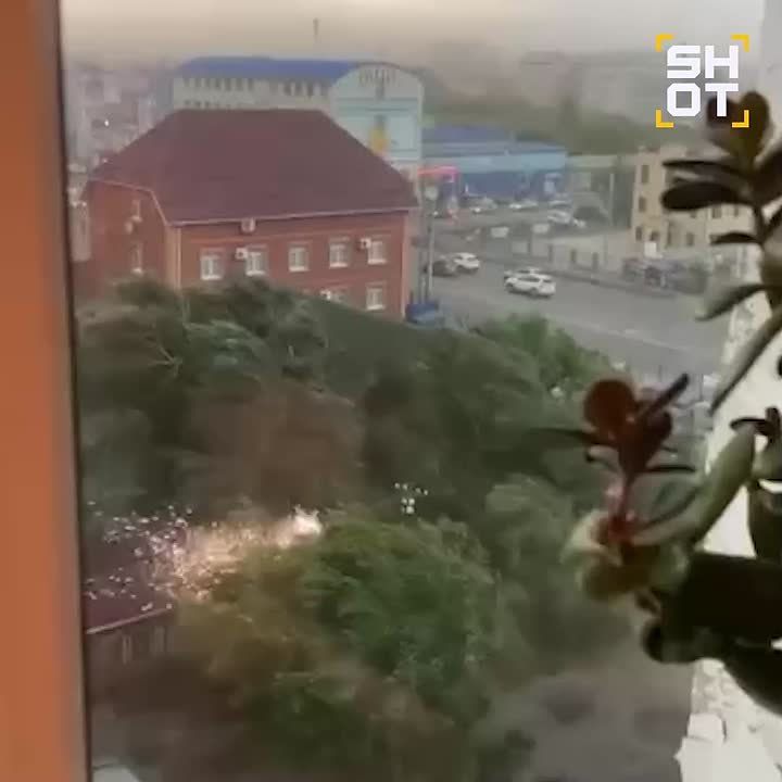    . -     ,    