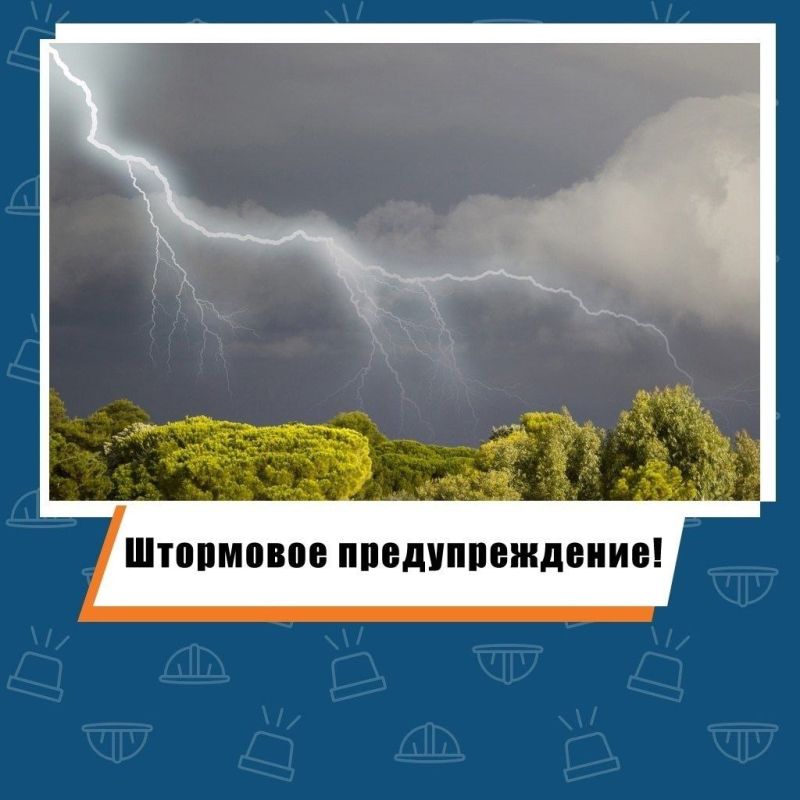  !. 5    -   ,     ,      20-25 /,         ,  ...