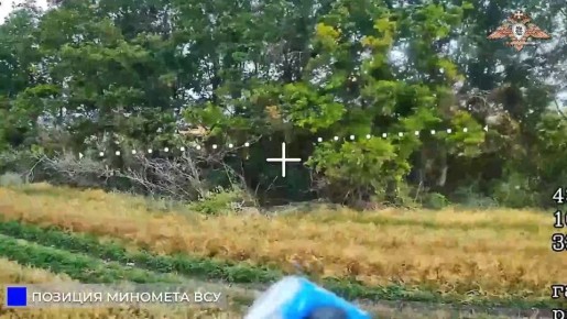  238-                  FPV-