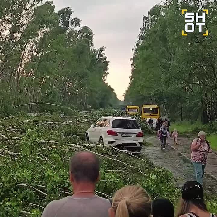          Mercedes,         