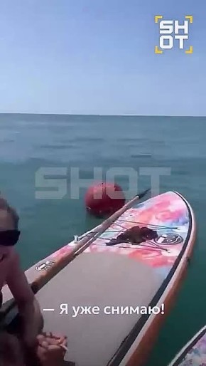    :    ,   ,     
