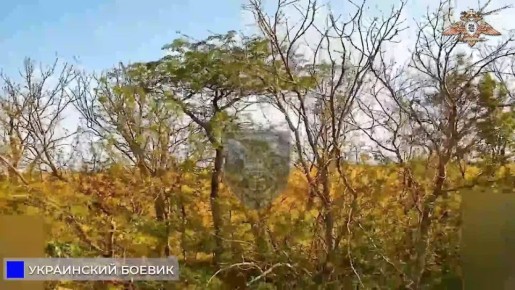            FPV-