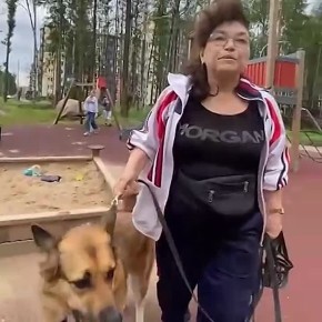           ,       