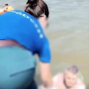 ,    ,        