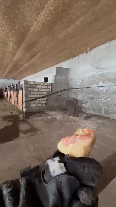    .        ,     ,       