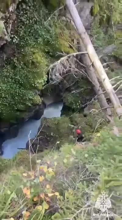     ,     