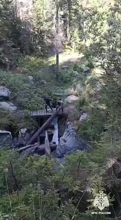     ,    