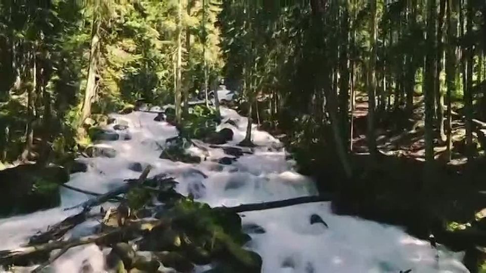       ,        