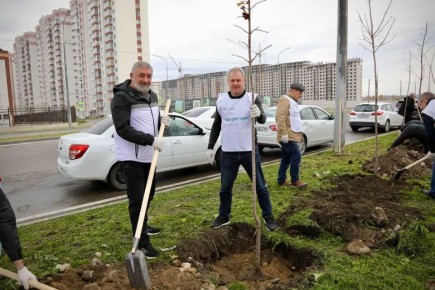 Высадили еще 16 деревьев!. На этот раз - на проспекте 200-летит Черкесска