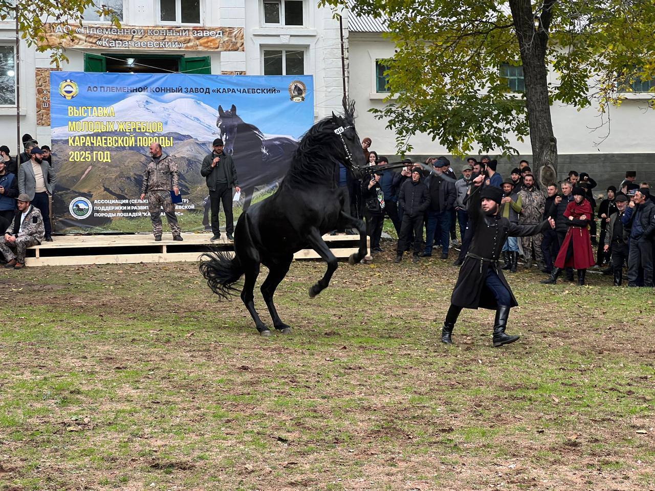 В Малокарачаевском районе прошёл традиционный праздник, посвящённый карачаевской породе лошадей В Малокарачаевском районе прошёл традиционный праздник, посвящённый карачаевской породе лошадей
