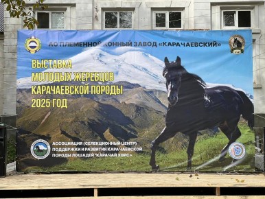 В Малокарачаевском районе прошёл традиционный праздник, посвящённый карачаевской породе лошадей