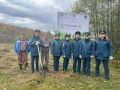 Сотрудники МЧС России приняли участие в акции «Сохраним лес»